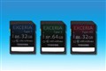 ��ȡ95MB/s����֥��ȫ�����SD�洢��