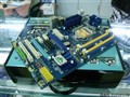 ����ɢ�������� ����GMIP55-3GP��699