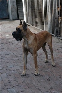 ������󼯺ϣ���Ϸ�����еľ��乷��