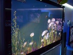 �����ջ�����50�������ӵ����Ƚа�