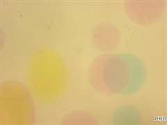深入了解 体会爱普生“光泽照片纸”