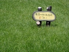 进入纯感性时代!索尼T200体验式详评