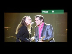������,����,����,����,�ټ�,����