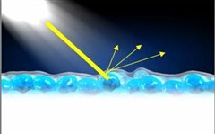 �������һ��������Ѥ�ʷ�ˮ�͹�ī