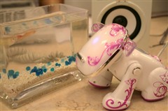 �����־����裡���ɰ�����iDog��ͼ��