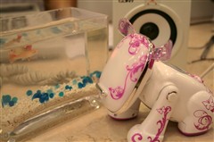 �����־����裡���ɰ�����iDog��ͼ��
