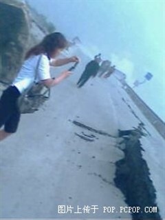 ȱʧ����Ӱ&nbsp;�����봨-ï����Ҫ��Ƭ