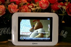 ����DSFT��PMP&nbsp;�ܿ����ӵ�DM4-T2����
