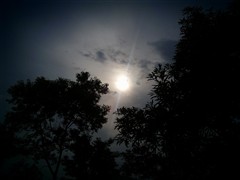 商务/多媒体/拍照 三星i9000重点评测