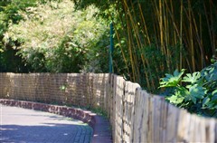 尼康D系列单反相机 牛不牛用了才知道