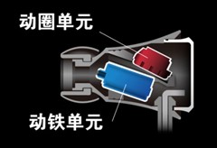 品音签MAXELL国代 全新M系列近期上市 