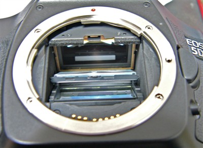 自己换对焦屏风险大吗(350D)? - 佳能俱乐部 - 佳友在线摄影网