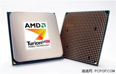徐静蕾助阵 AMD正式发布64位双核炫龙