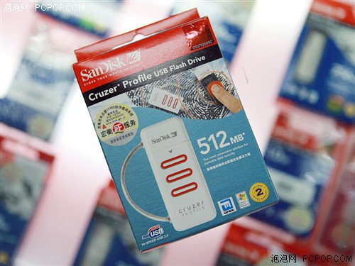 �߿Ƽ������ն���Sandiskָ��U������