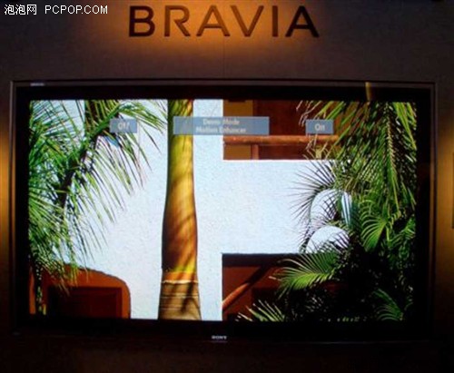 CES2007�����ߴ��ɫ��