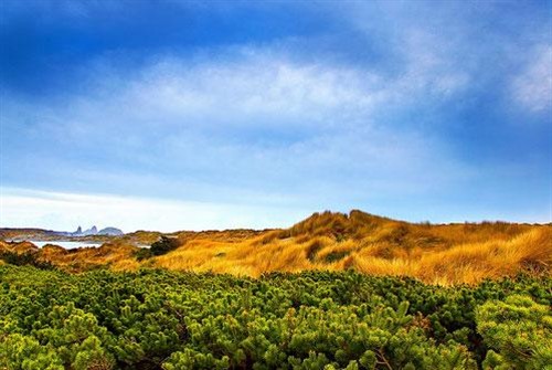 ����ɾ����룡&nbsp;VISTA������Ӱʦ����
