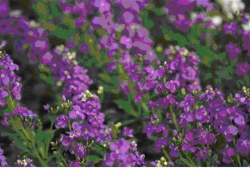 ��������Ӱ������Ԫʵ���˾85mmF1.4