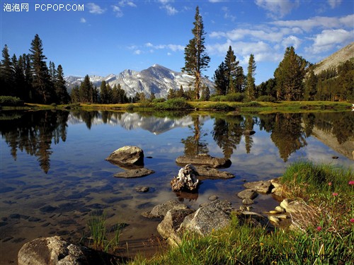 Vista/Acdsee/XP&nbsp;˭���ʺϹ�����Ƭ��