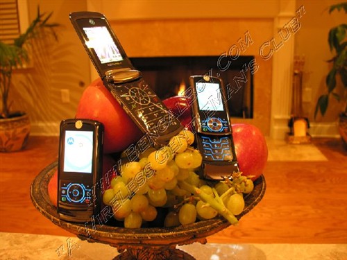 2��������&nbsp;Ħ�������»�LAZR�Ը�д��