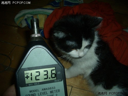 СèԪףСϷ˵