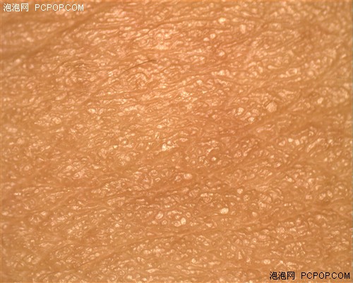 女皮肤放大60倍 实战USB数码显微镜_摄像头评