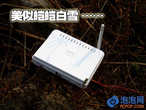 ��ͥ����ʱ��&nbsp;D-Link��Ʒ54M·������