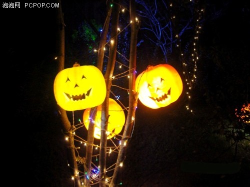 ��л��ֹ�--����NV20ץ��Halloween