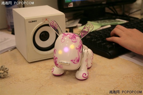 �����־����裡���ɰ�����iDog��ͼ��
