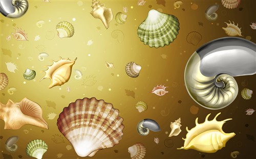 ��ֽ,���,����,����