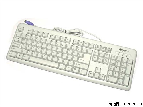 Anypro又添新活力!战龙键盘火爆登场