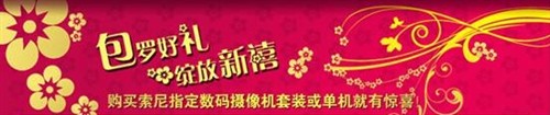 包罗好礼绽放新禧索尼DV送礼促销中