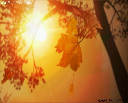 ��㻵�����&nbsp;70��Vista�λ���������