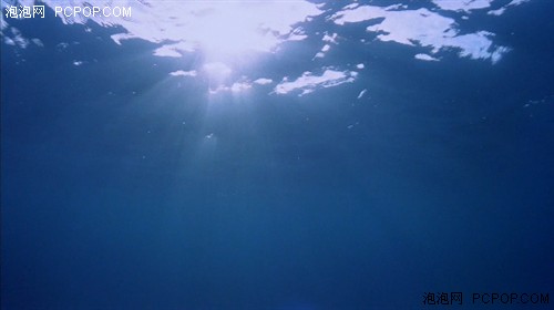 别点坏了鼠标 70个Vista梦幻桌面下载