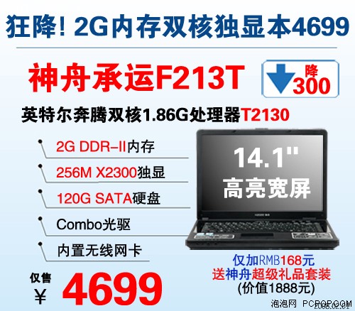 ���ټ������3999����256M����˫�˱�