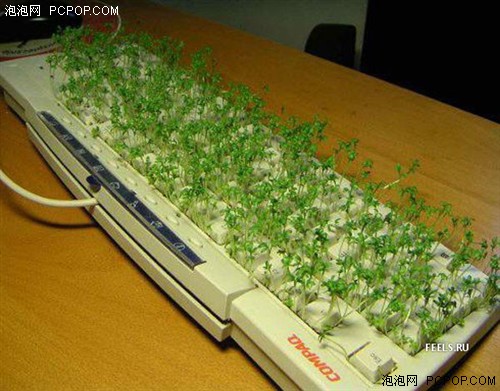 �뿪��û����!?������йص���������