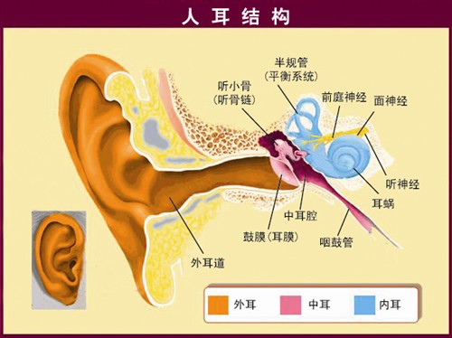 铁三角倡导关注听力健康