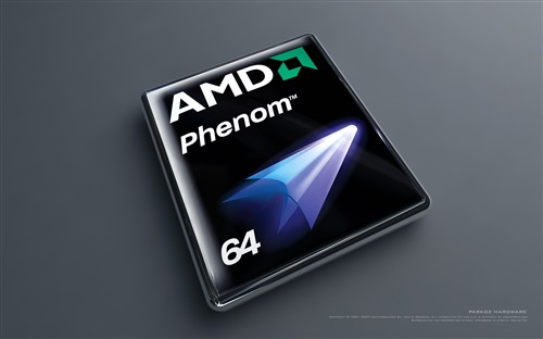 ������Э��AMD����ԭ��6����˹̹����