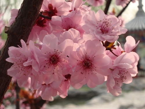 �Һʹ����и�Լ��&nbsp;����Wϵ��̤������