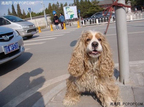 ��¼���˶�ʵ����硪��T300ʹ������