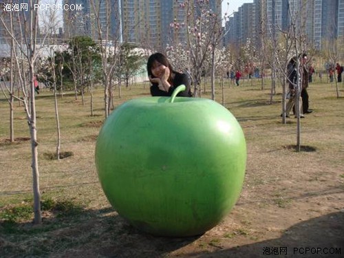 ��¼���˶�ʵ����硪��T300ʹ������