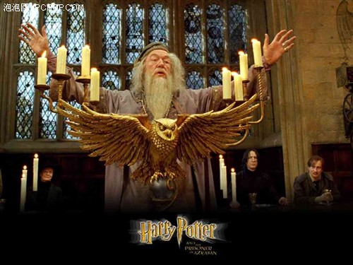 Harry&nbsp;Potter�Աؿ�������˫�˱��Ƽ�