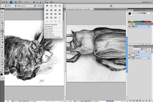 AdobePhotoshop&nbsp;CS4���½����ͼ�ع�