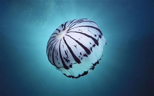 1920��1200������������д���ֽ����