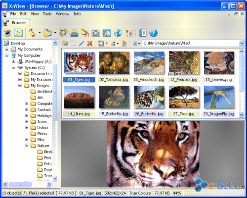 ͼ��鿴����XnView&nbsp;v1.94&nbsp;��ʽ��
