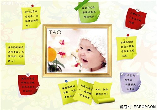 ���ű�ֽ����Ը&nbsp;����TAO���������ռ�