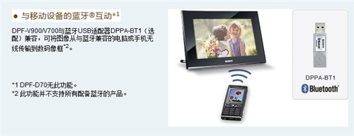 �����������V900&nbsp;&nbsp;��ɭ����100Ԫ