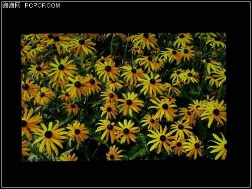 ���ֺû���&nbsp;&nbsp;�߷�Һ��VW198TֻҪ1199