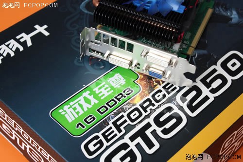 显存加速度 翔升GTS250游戏至尊售999