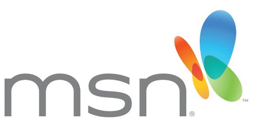 简洁更美丽微软MSN蝴蝶标志将 蜕变 _网络工