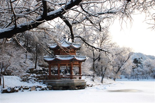 [摄影跟我学]雪景拍摄!教你实用技法